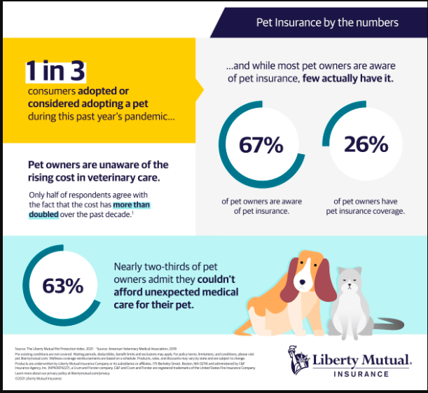 How To Get The Best Pet Insurance For Your Dog